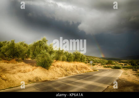 Route asphaltée serpente à travers un paysage d'oliviers avec un arc-en-ciel dans la distance et de sombres nuages d'une tempête Banque D'Images