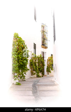 Rue étroite dans un vieux village de l'Espagne avec les plantes décorant la porte avant, high key Banque D'Images