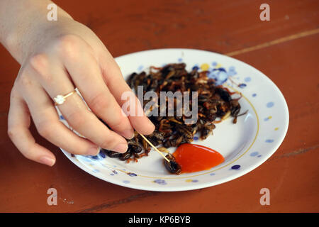 Les insectes comestibles. Les grillons en plaque. Dalat. Le Vietnam. Banque D'Images