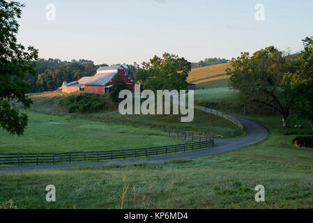 Clôture du Conseil et la route mène à travers les pâturages d'herbe humide à Granges rouges dans le soleil du matin Banque D'Images