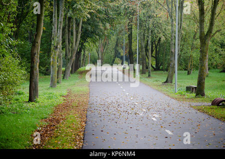 Allée avec des feuilles tombées en automne park Banque D'Images