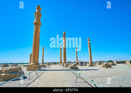 Les colonnes en pierre préservé de l'Apadana palace, d'une salle d'audience de l'ancienne capitale de l'Empire perse de cérémonie, Persepolis, Iran. Banque D'Images