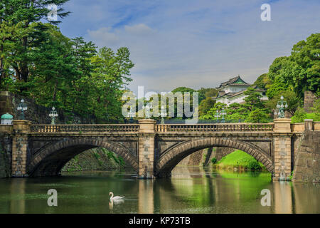 Palais Impérial de Tokyo jardins extérieurs avec le célèbre Pont Nijubashi et un cygne Banque D'Images