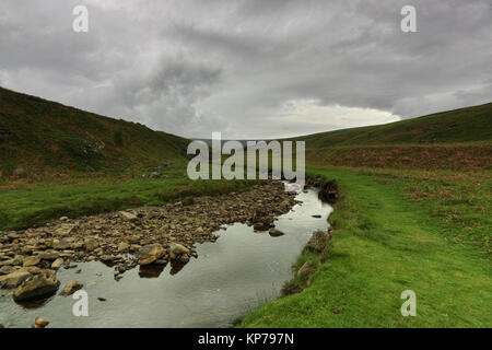 Bollihope brûler serpentant à travers les collines dans Weardale dans le comté de Durham entre la route de Stanhope et Middleton de Teesdale. Banque D'Images