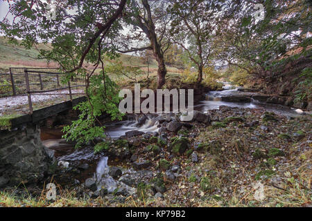 Une petite chute d'eau coule sous un pont de pierre à St John's Chapelle dans Weardale, dans le comté de Durham. Banque D'Images