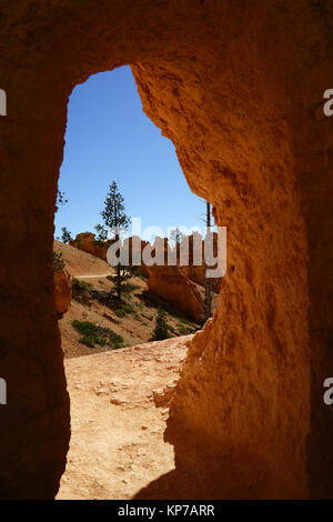 Bryce Canyon NTL. Park, Queens Garden Trail randonnée, Utah. USA Banque D'Images