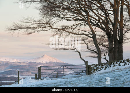 Vue de Bennachie sur un matin d'hiver enneigé Banque D'Images