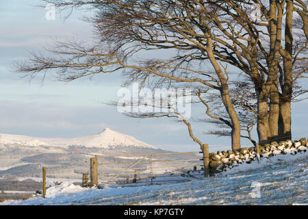 Vue de Bennachie sur un matin d'hiver enneigé Banque D'Images