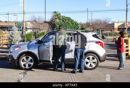 Les hommes de lier un arbre de Noël sur le dessus d'un SUV d'argent tandis qu'une femme les regarde vivre dans un lot d'arbres de Noël à Tulsa, Oklahoma USA 12 -09-2017 Banque D'Images