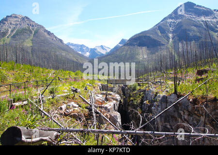 Pont pied partout en Canyon dans le Parc National de Kootenay, Colombie-Britannique, Canada, près de Banff, avec le mont Whymper et Vermilion Sommet dans le background Banque D'Images