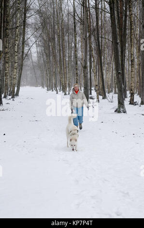 Femme avec chien marcher dans l'avenue dans l'hiver. Banque D'Images