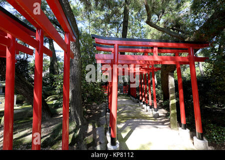 Portes torii Orange au temple shinto au Japon Banque D'Images