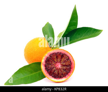 Les oranges récoltées dans une culture biologique, photographiés sur fond blanc Banque D'Images
