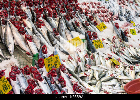 Choix de poissons sur un marché à Istanbul Banque D'Images