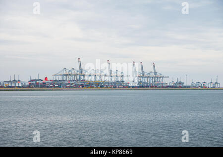 Rangée de grues portuaires Banque D'Images