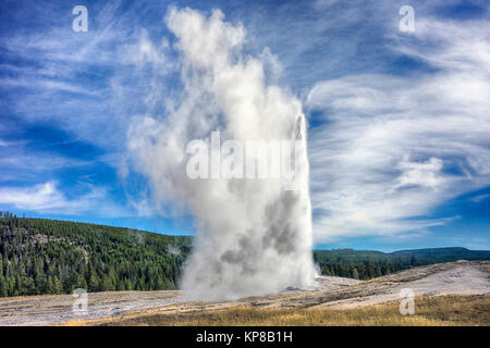 Le Parc National de Yellowstone, Wyoming, USA. Old Faithful Geyser, il éclate sur un cycle régulier, environ toutes les heures. Pieds de hauteur 106-185, 32-56 mètres. Banque D'Images