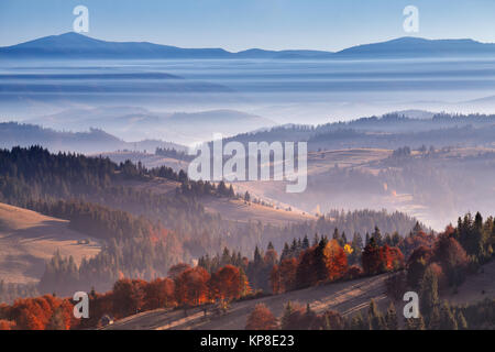Matin brouillard dans les montagnes. Lever du soleil et l'automne brume sur les collines. Banque D'Images