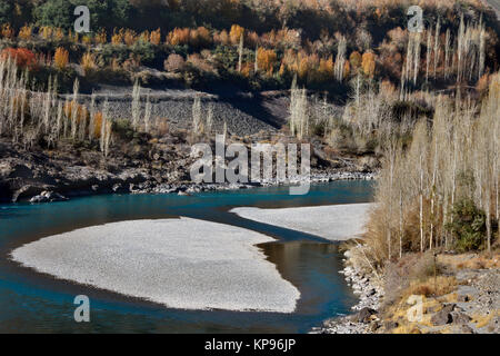 L'eau bleu de la montagne indus, de grands arbres sans feuilles, l'automne dans les montagnes, l'Himalaya. Banque D'Images