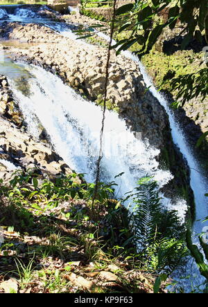 Parc Paronella et le Mena Creek Falls sur la route panoramique au sud d'Innisfail Banque D'Images