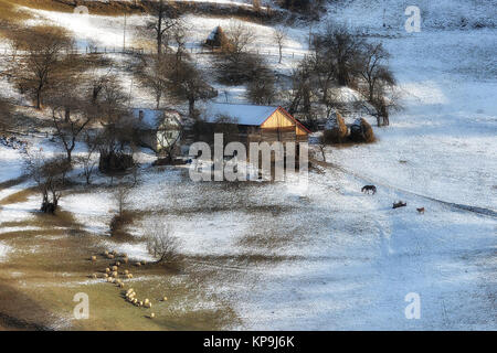 Journée ensoleillée d'un hiver, sur la Transylvanie sauvages collines avec des montagnes de Bucegi en arrière-plan.. 09.01.2016. Sirnea. La Roumanie. Clé faible, fond sombre, de spots, et riche d'anciens maîtres Banque D'Images