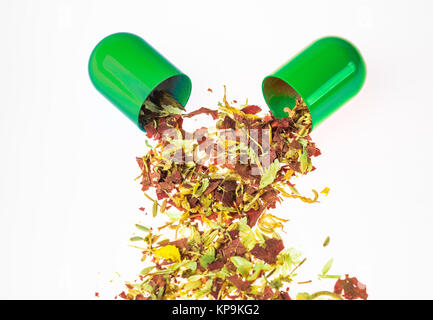Image conceptuelle représentant phytothérapie déversant provenant d'une capsule. Banque D'Images