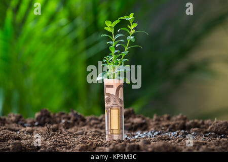 Enveloppé de plantes avec Euro Note sur terre Banque D'Images