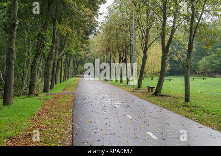 Allée avec des feuilles tombées en automne park Banque D'Images