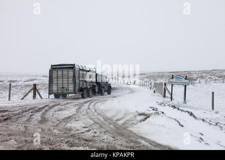 B6277, County Durham et Cumbria UK. Jeudi 14 décembre 2017. Météo britannique. Fortes averses de neige rendent la conduite automobile difficile sur la B6277 entre Middleton-in-Teesdale et Alston cet après-midi. Crédit : David Forster/Alamy Live News Banque D'Images