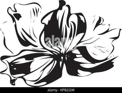 Délicate fleur anémone dessinés à la main, style de calligraphie Illustration de Vecteur