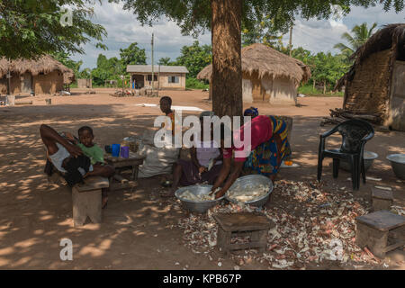 Peeling femmes manioc avec une machette, village près de Mafi-Kumase Bon, Région de la Volta, au Ghana, l'Afrique Banque D'Images