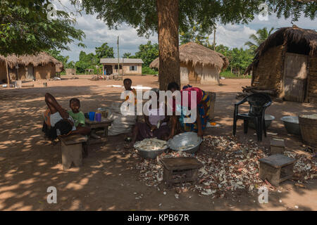 Peeling femmes manioc avec une machette, village près de Mafi-Kumase Bon, Région de la Volta, au Ghana, l'Afrique Banque D'Images