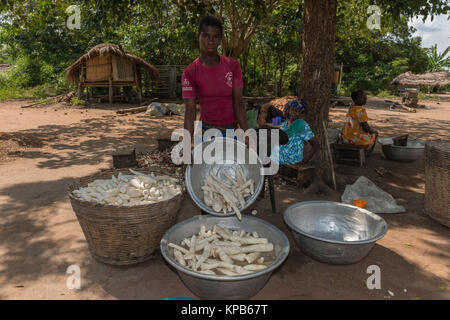 Les femmes l'épluchage et lave-manioc avec une machette, village près de Mafi-Kumase Bon, Région de la Volta, au Ghana, l'Afrique Banque D'Images