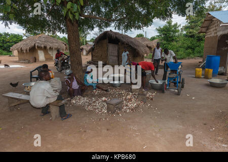 Le broyage de la Pelée et lavé les racines de manioc, village près de Mafi-Kumase Bon, Région de la Volta, au Ghana, l'Afrique Banque D'Images