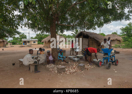 Le broyage de la Pelée et lavé les racines de manioc, village près de Mafi-Kumase Bon, Région de la Volta, au Ghana, l'Afrique Banque D'Images