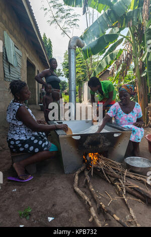 Sur un sustainalble casava torréfaction four d'énergie pour la production de gari, village près de Mafi-Kumase Bon, Région de la Volta, au Ghana, l'Afrique Banque D'Images