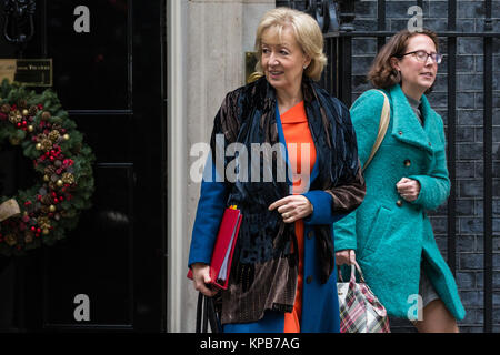 Londres, Royaume-Uni. 5 Décembre, 2017. Andrea Leadsom MP, Lord Président du Conseil et chef de la Chambre des communes, les feuilles 10 Downing Street Suite Banque D'Images