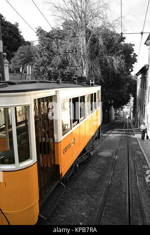 Sur le célèbre tramway de Lisbonne Calcada da Gloria prise depuis le sommet de la colline avec tous mais le tram converties en noir et blanc Banque D'Images