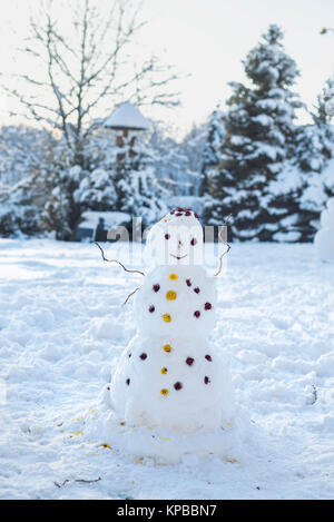 Bonhomme de neige en plein milieu de la cour, les divertissements, les plaisirs de l'hiver, l'Ukraine Banque D'Images