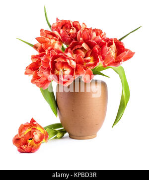 Tulipes rouges dans un vase d'argile sur fond blanc. L'espace pour votre texte Banque D'Images