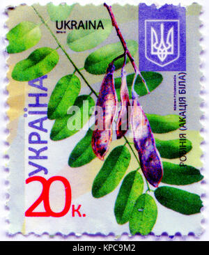 Une série de "Flore de l'Ukraine". Timbre-poste montre l'image de Robinia pseudoacacia, communément connu dans son territoire comme le robinier. L'Ukraine, 2016 Banque D'Images