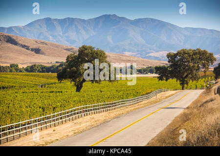 Vignobles et route dans la vallée de Santa Ynez, en Californie Banque D'Images