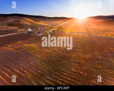 Vue aérienne de Foley Winery et domaine viticole dans l'automne au lever du soleil, Santa Rita Hills, Santa Ynez Valley, Californie Banque D'Images