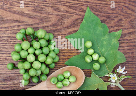 La Turquie berry on wooden table Banque D'Images