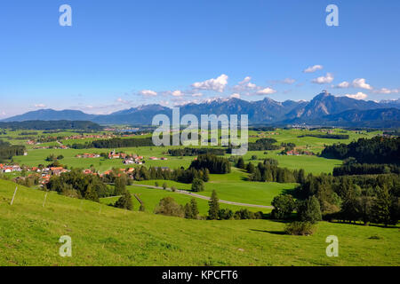 Vue du Schlossberg près de Eisenberg, Hopfensee et Alpes avec Säuling, Ostallgäu, Allgäu, souabe, Bavière, Allemagne Banque D'Images