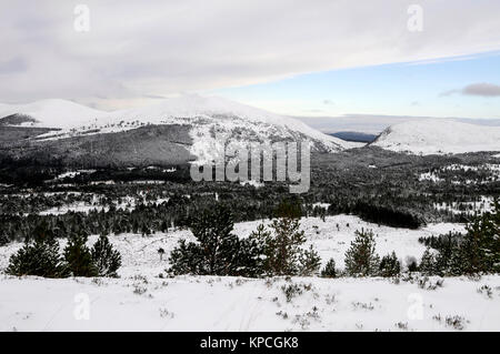 La neige est tombée pour la première fois le mois d'octobre depuis 1981 dans les montagnes de Cairngorm national park Banque D'Images