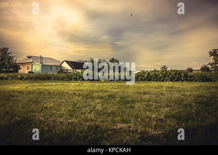 Campagne agricole spectaculaire paysage avec moody sunset sky et champ cultivé sur farmer's plantation Banque D'Images