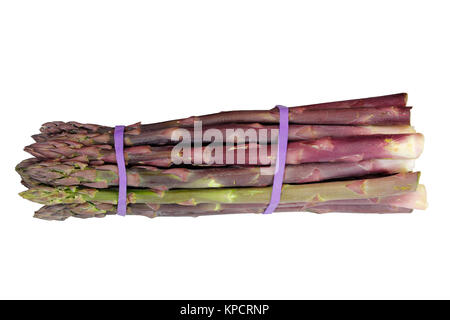 Bande d'Asperges violettes sur fond blanc. Banque D'Images