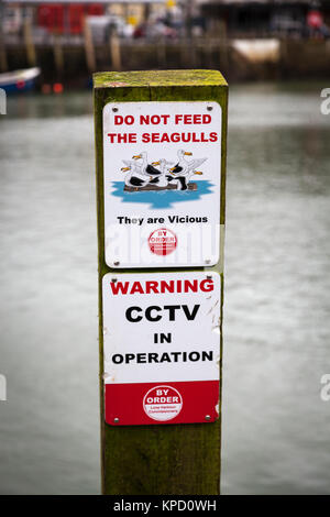 'Ne pas nourrir les mouettes, ils sont méchants" et "Avertissement" CCTV en signes sur un poste en bois, le port de Looe, Cornwall. Banque D'Images