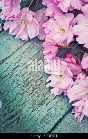 Style rustique avec fond Printemps Japanese cherry blossom rose close up Banque D'Images