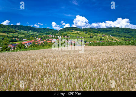 Champ de blé et pittoresque village de montagne Banque D'Images